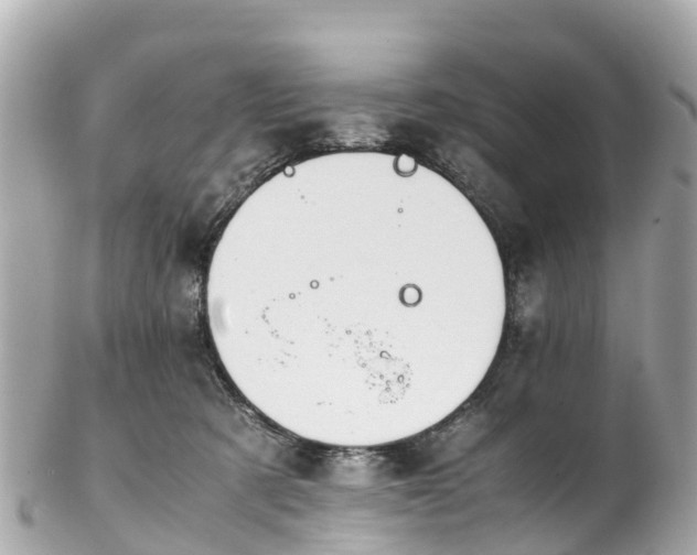 X0000102510321200808151553
