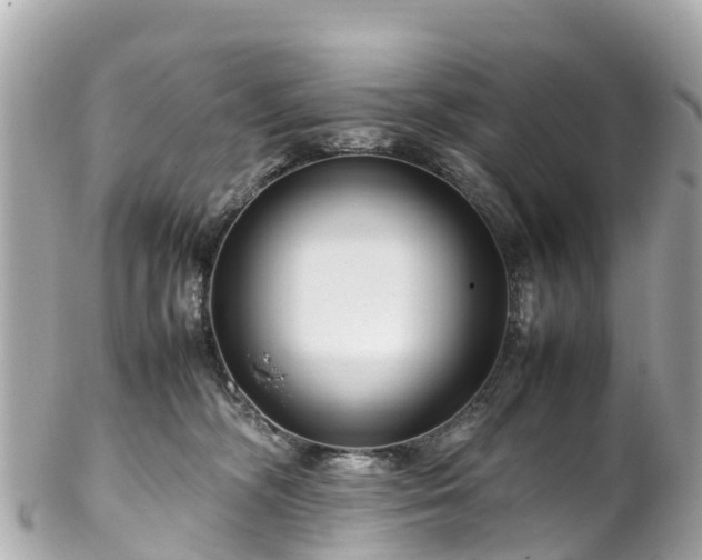 X0000102510326200808151553