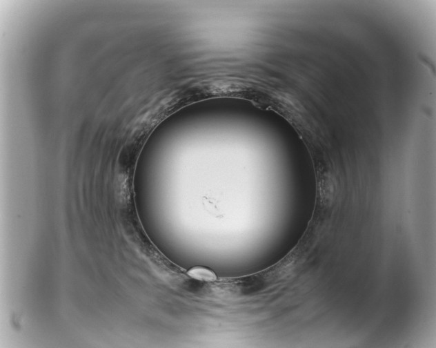 X0000102510327200808151553
