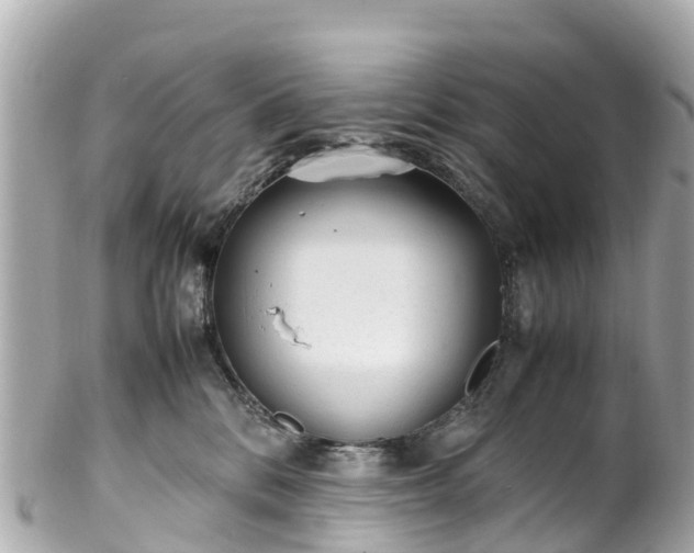 X0000102510328200808151553
