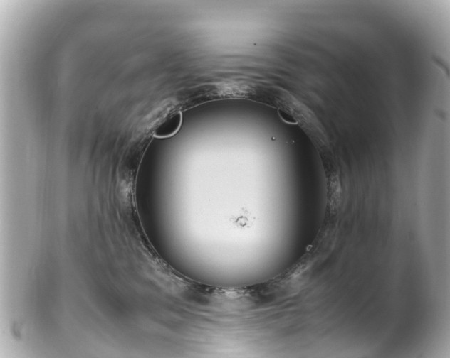 X0000102510329200808151553