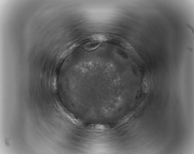 X0000102510330200808151553