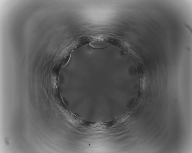 X0000102510331200808151553
