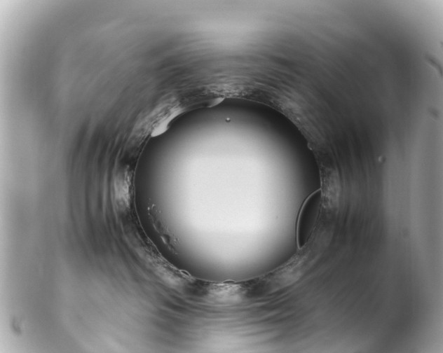 X0000102510334200808151553