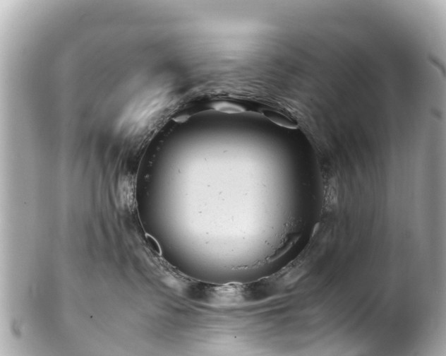 X0000102510335200808151553