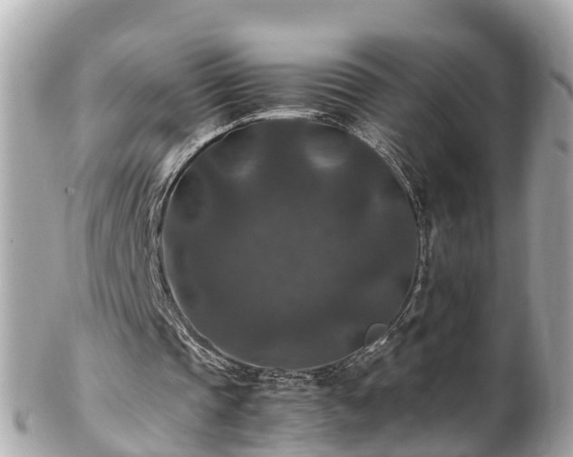 X0000102510337200808151552