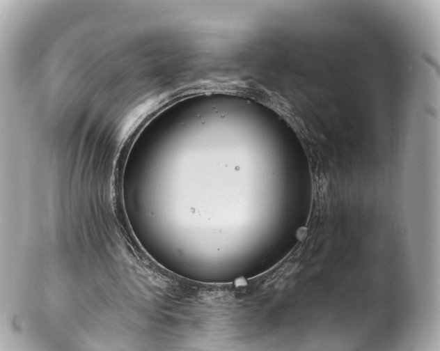 X0000102510340200808151552