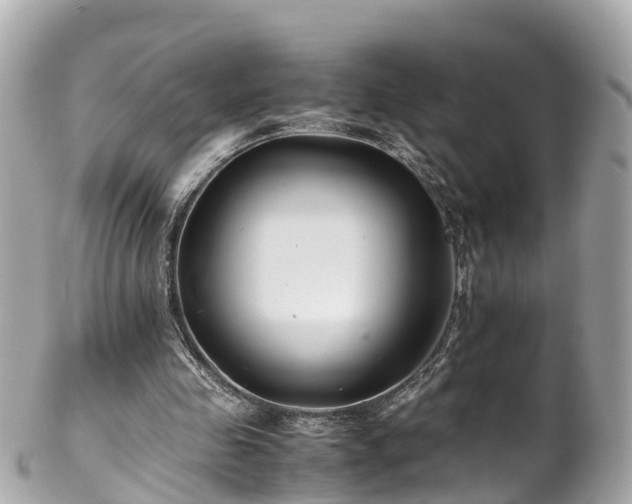 X0000102510341200808151552