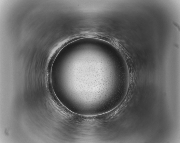 X0000102510342200808151552