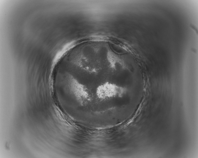 X0000102510343200808151552