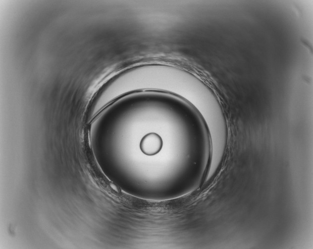 X0000102510344200808151552