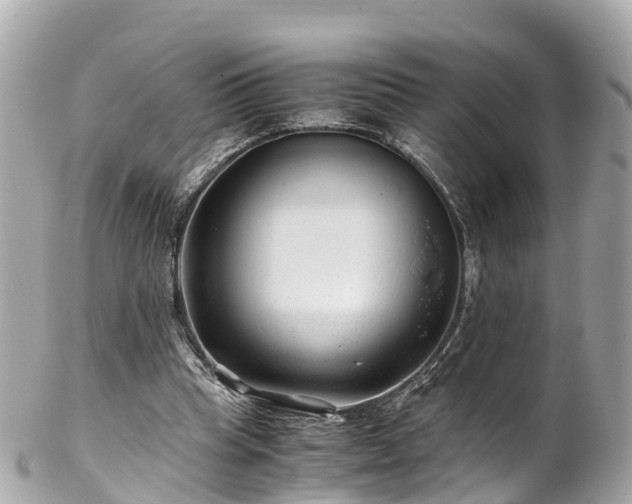X0000102510345200808151552