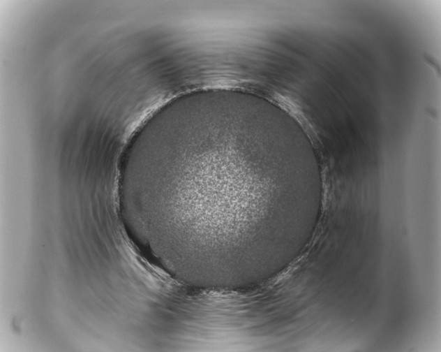 X0000102510346200808151552