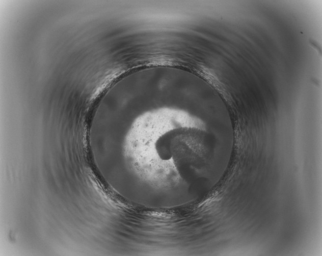 X0000102510347200808151552