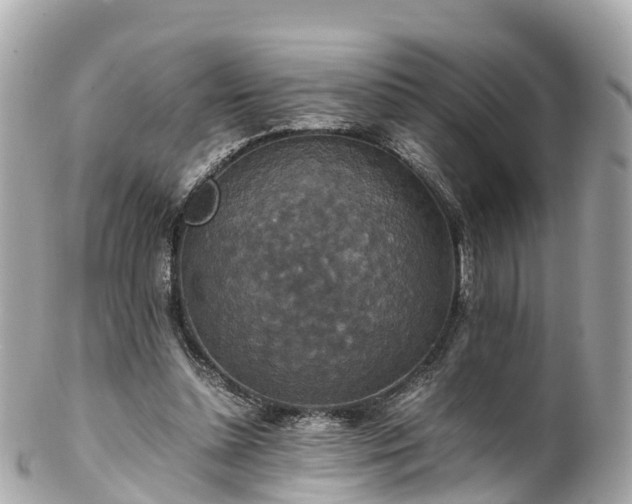 X0000102510348200808151552