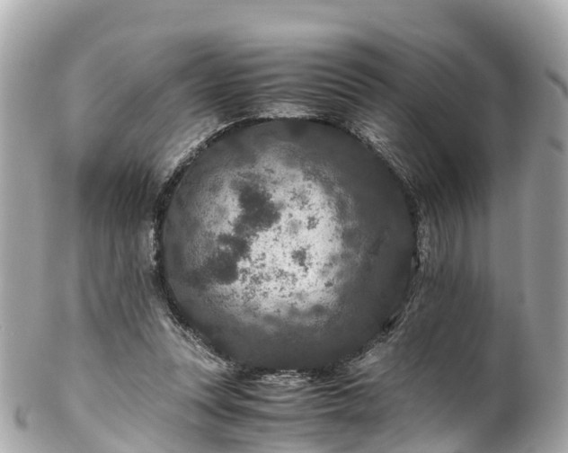 X0000102510351200808151552