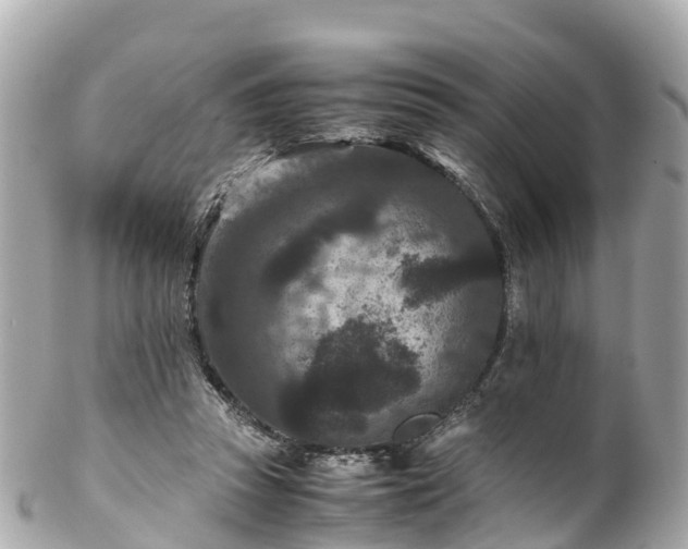 X0000102510353200808151552