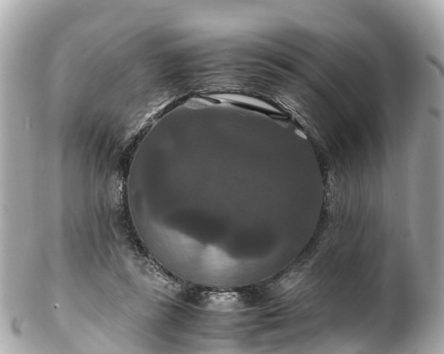 X0000102510355200808151552