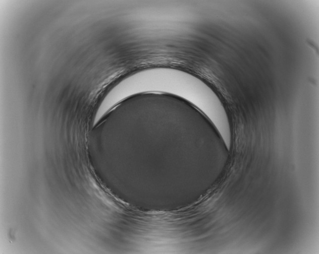 X0000102510356200808151552