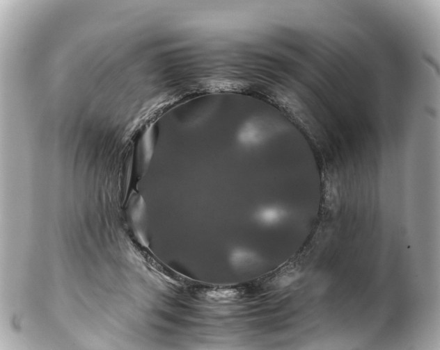 X0000102510357200808151552