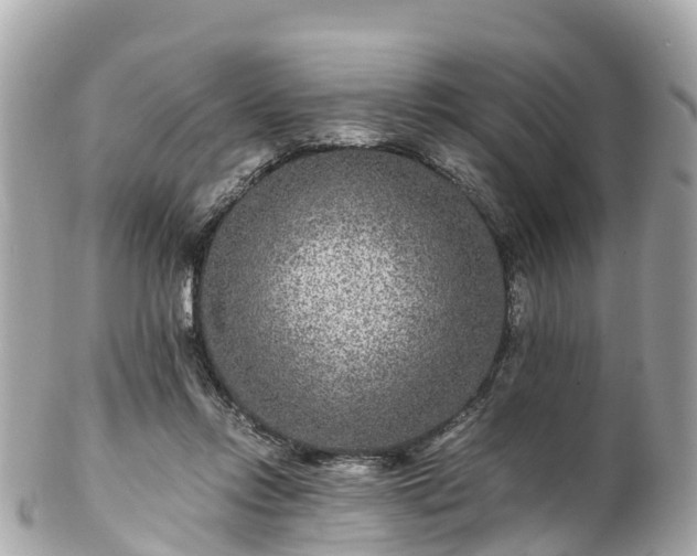 X0000102510358200808151552