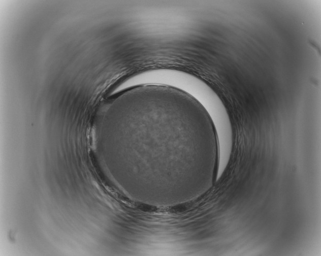 X0000102510360200808151552