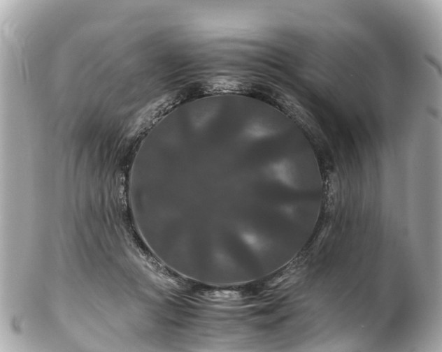 X0000102510361200808151552