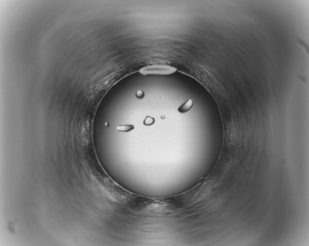 X0000102510364200808151552