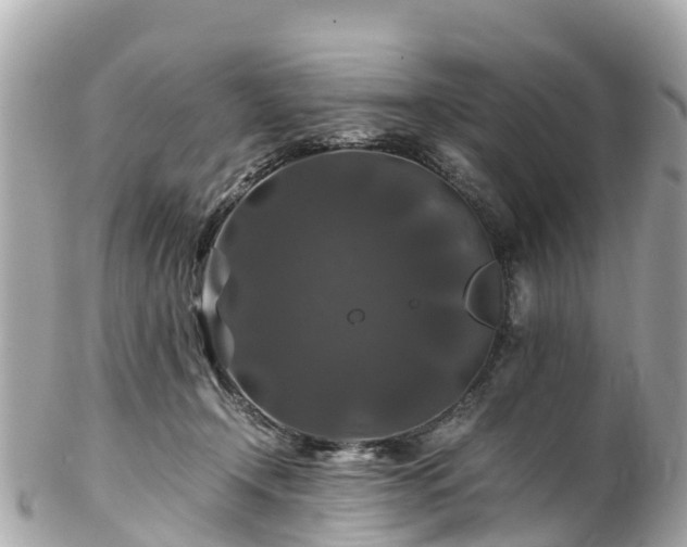 X0000102510366200808151552