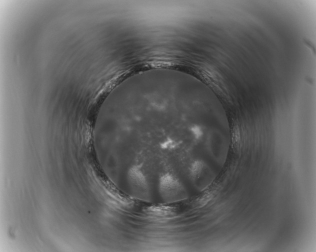 X0000102510367200808151552
