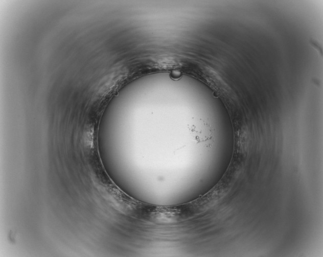 X0000102510368200808151552