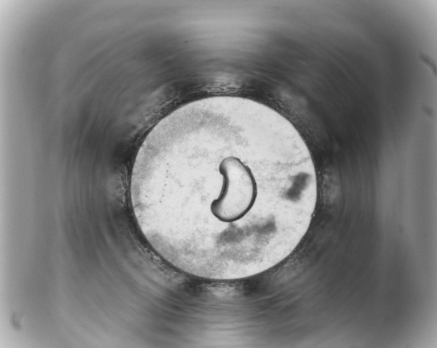 X0000102510370200808151552