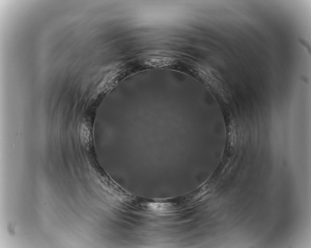X0000102510371200808151552