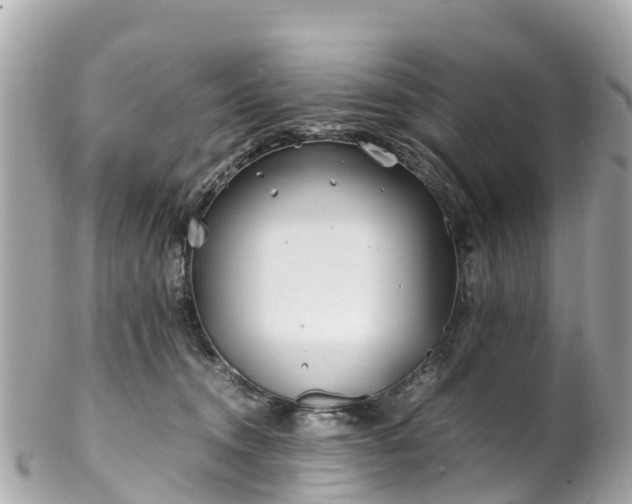 X0000102510372200808151552