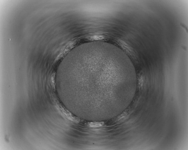 X0000102510373200808151552