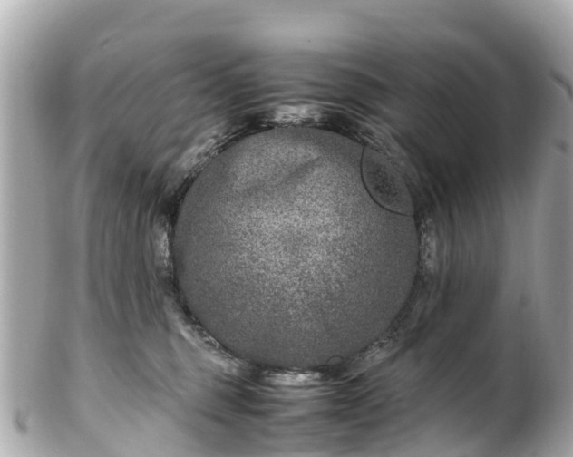 X0000102510375200808151552