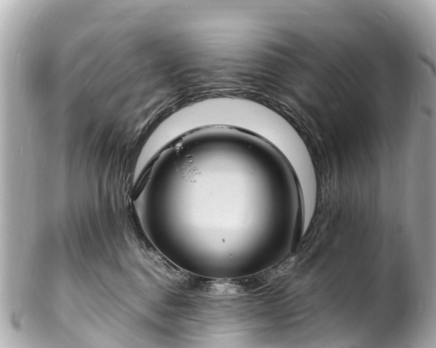 X0000102510376200808151552