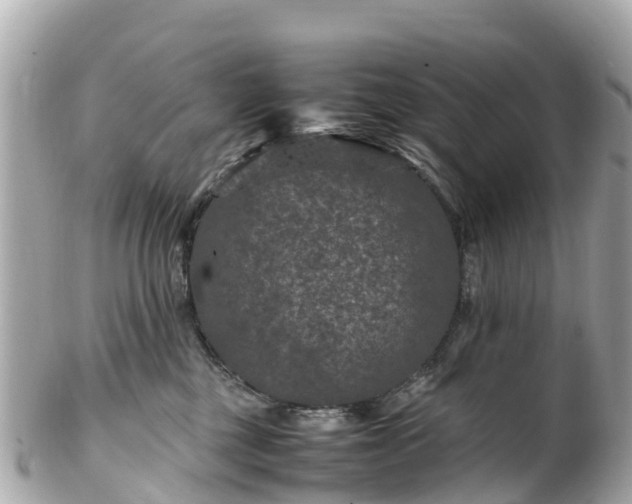 X0000102510377200808151552