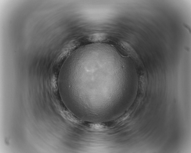 X0000102510380200808151552