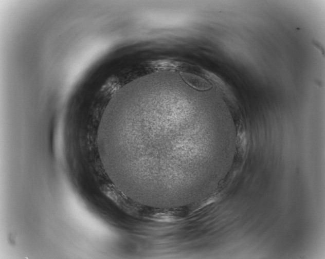 X0000102510381200808151553
