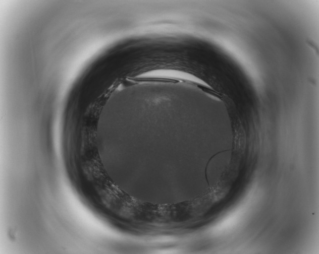 X0000102510383200808151553