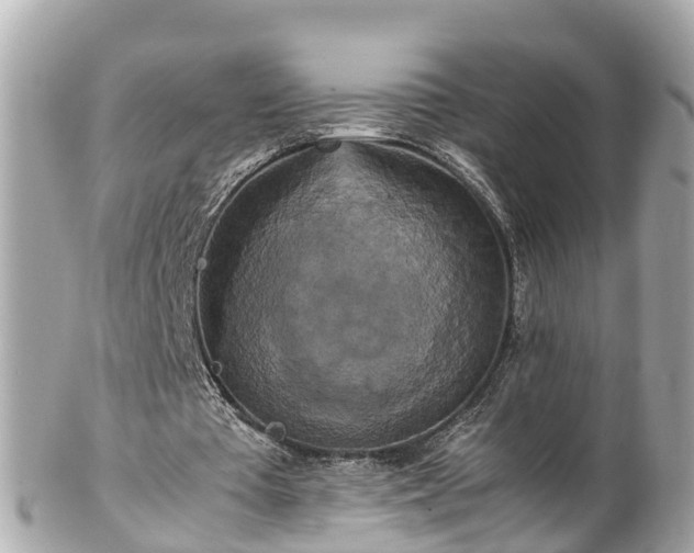 X0000102510385200808151552