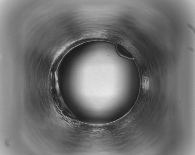 X0000102510388200808151552