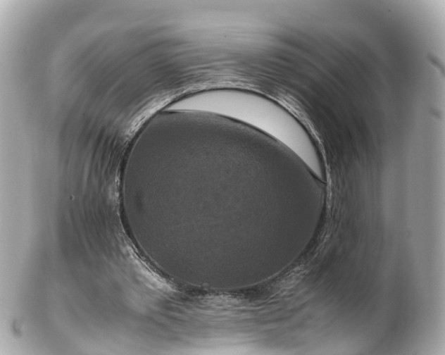 X0000102510389200808151552