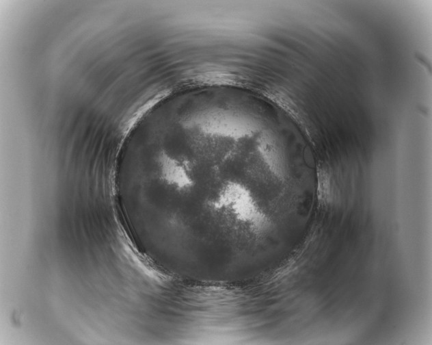 X0000102510390200808151552