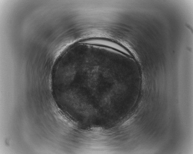 X0000102510391200808151552