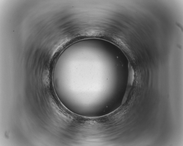 X0000102510392200808151552