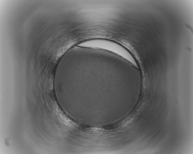 X0000102510393200808151552