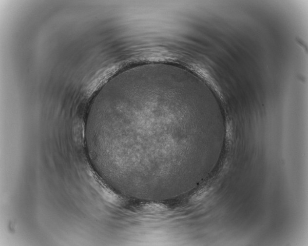 X0000102510397200808151552