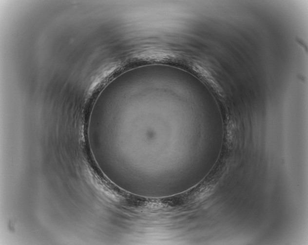 X0000102510399200808151552
